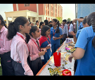 Top School of Narnaul 